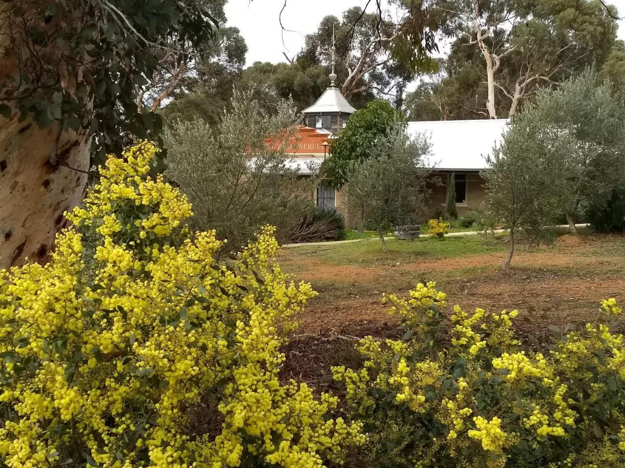 Hotham Ridge Apartment Wandering Exterior foto
